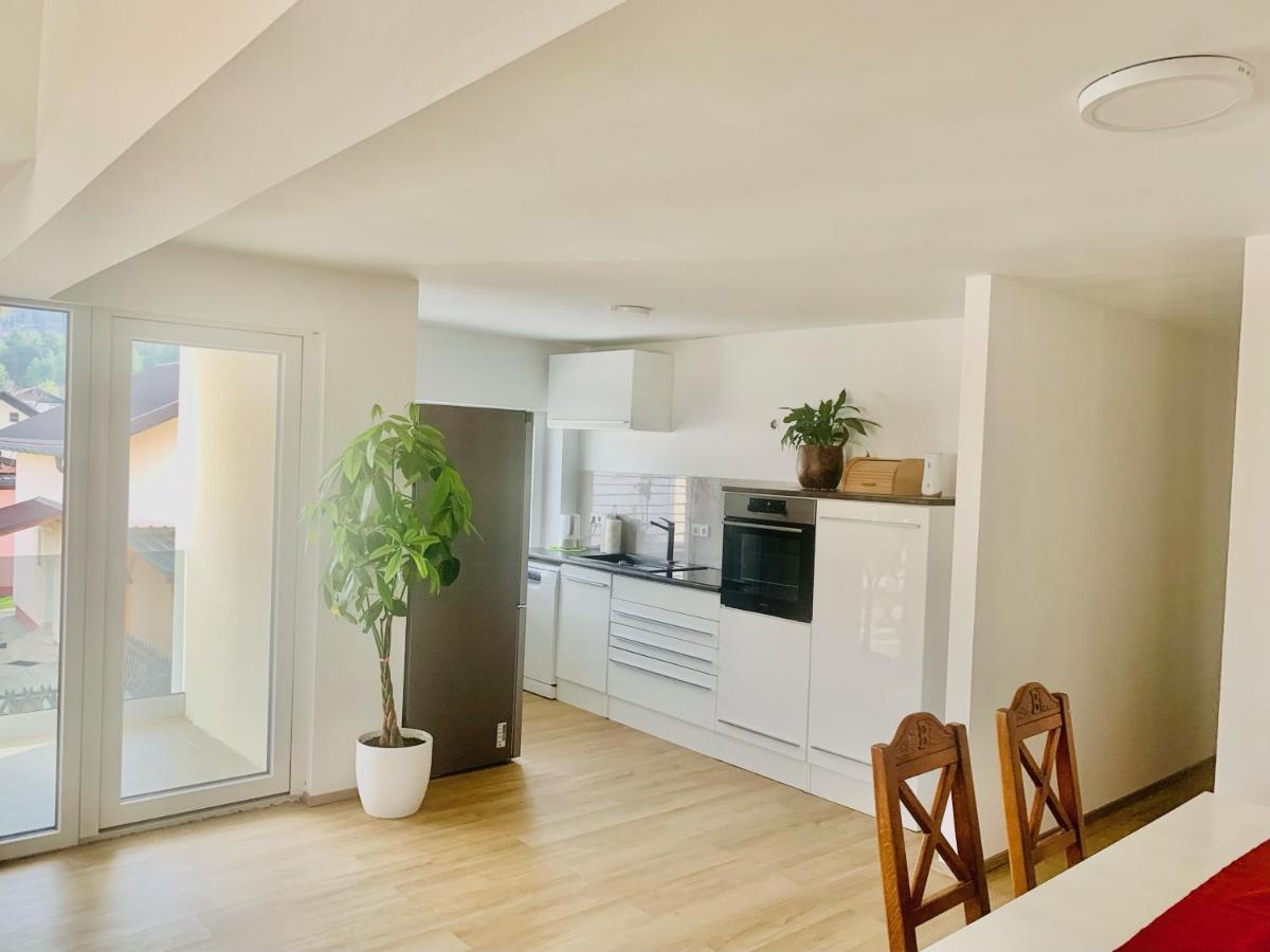 Apartma Frigo Maribor Zewnętrze zdjęcie