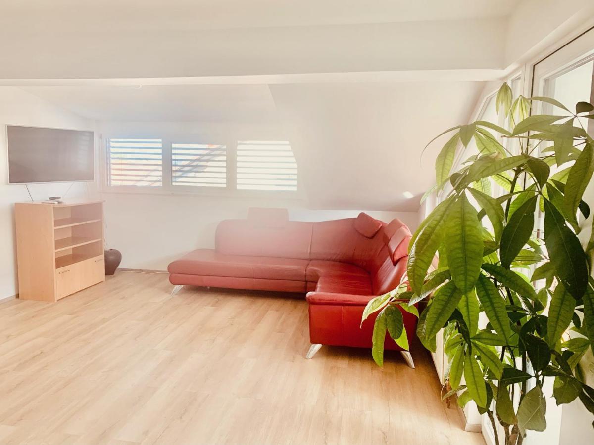 Apartma Frigo Maribor Zewnętrze zdjęcie