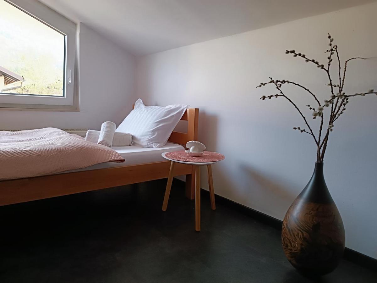 Apartma Frigo Maribor Zewnętrze zdjęcie