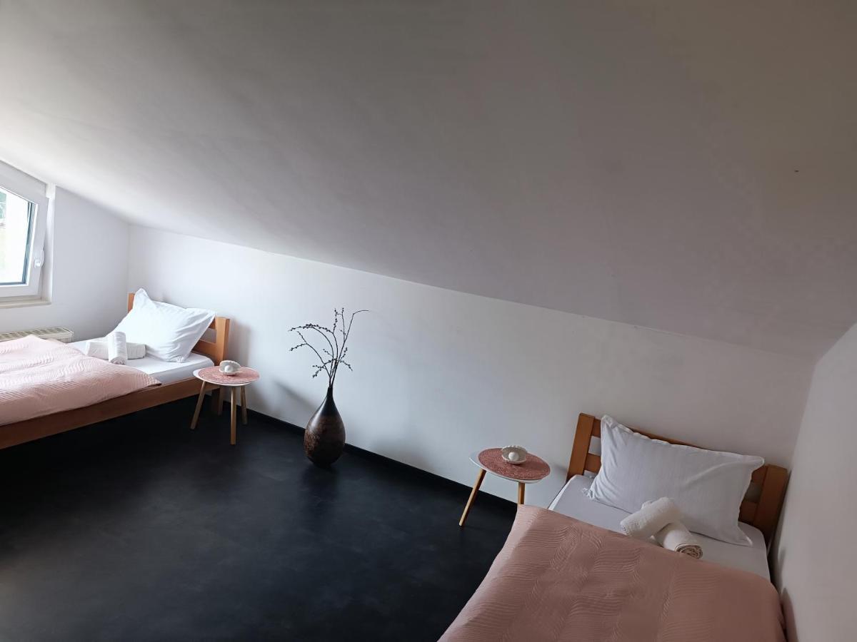 Apartma Frigo Maribor Zewnętrze zdjęcie