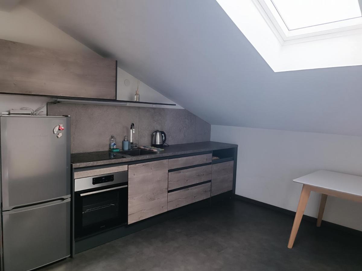 Apartma Frigo Maribor Zewnętrze zdjęcie